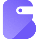 Better Payment Pro logo, WordPress lifetime deal